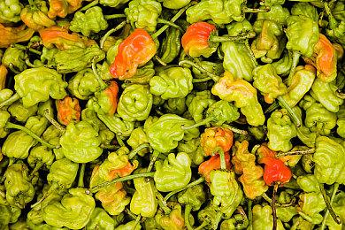 WeGame试玩节今日开启 数款国产独立游戏等你试玩